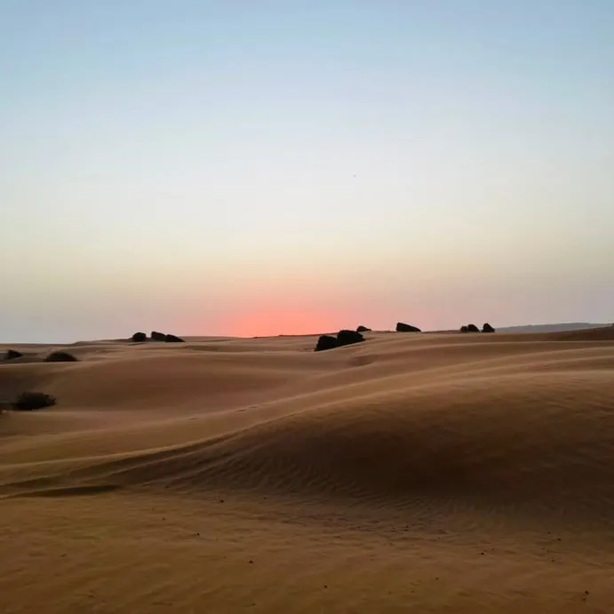 The dune belt at last light