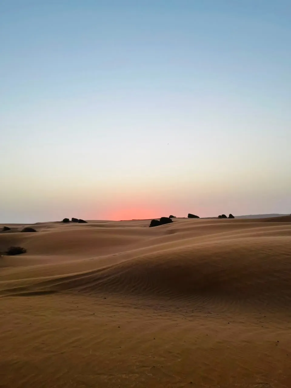 The dune belt south of Essaouira