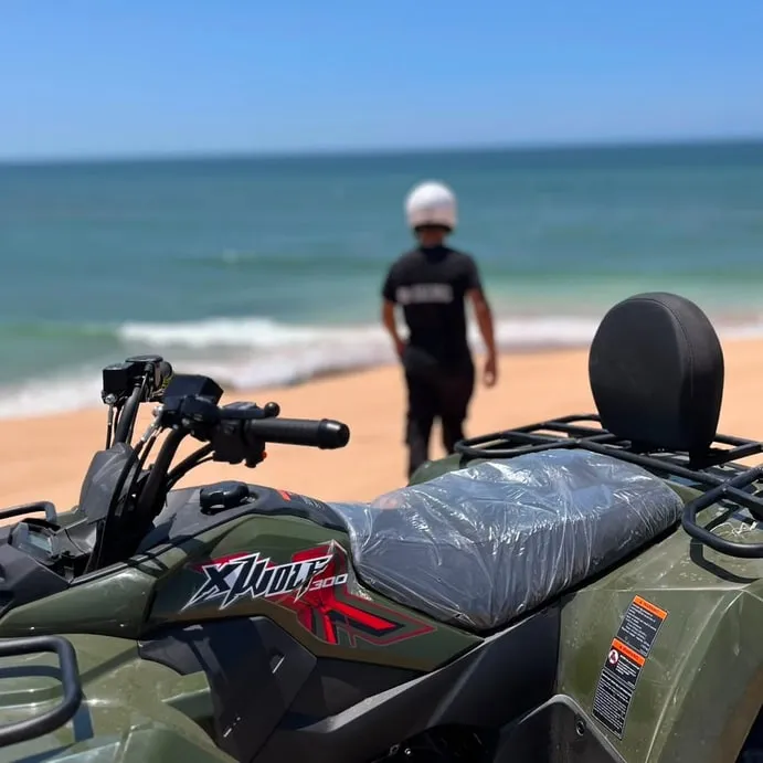 Quads and a buggy waiting on the sand